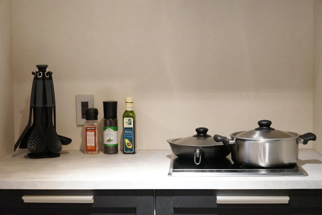 Real Life Kudanshita Apartment Tokyo